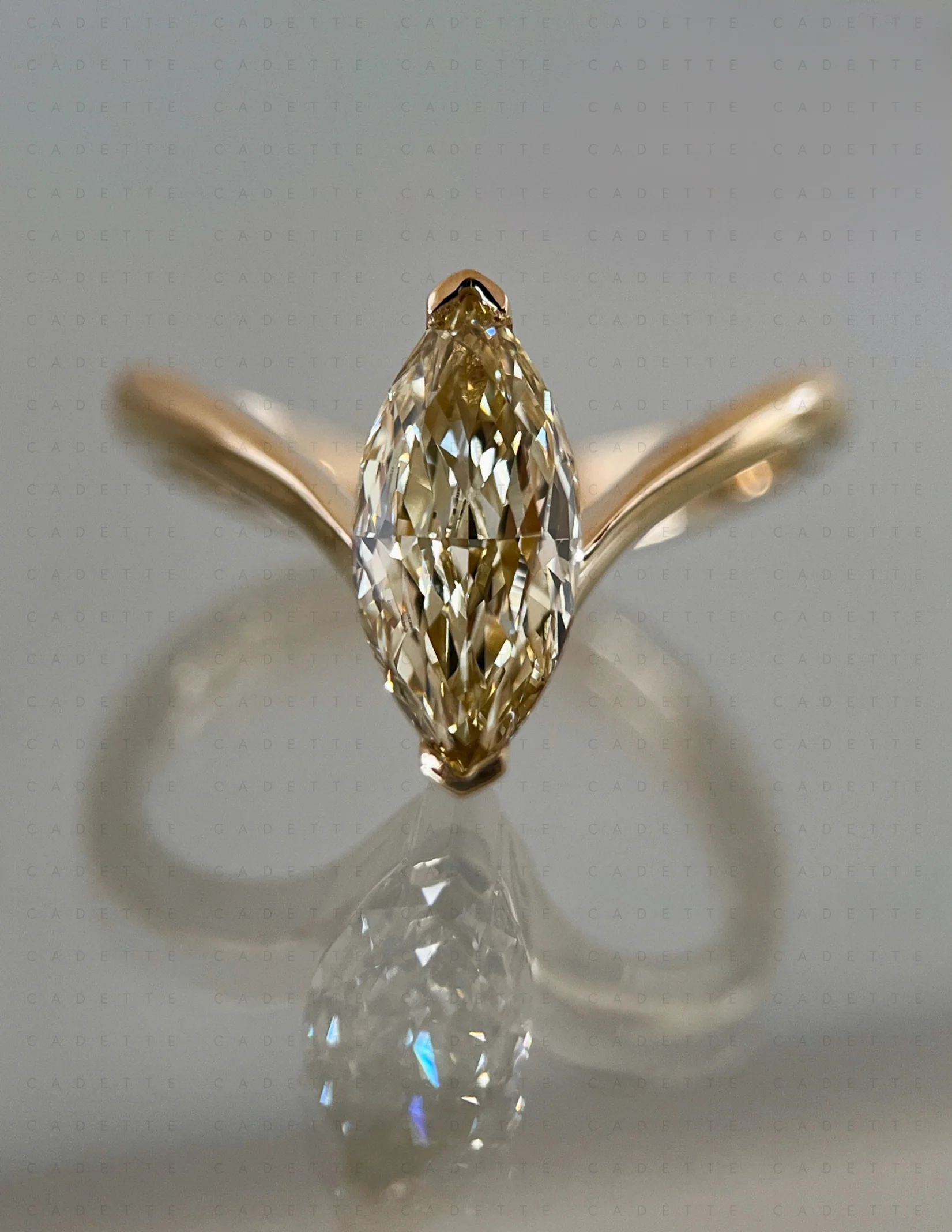 Eve Ring Collection
